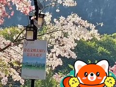 -龙湾潭国家森林公园