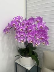 -和颜一美轻医美连锁