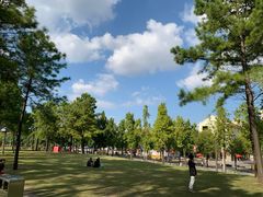 -美兰湖景区