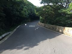 -普陀山风景区-佛顶山