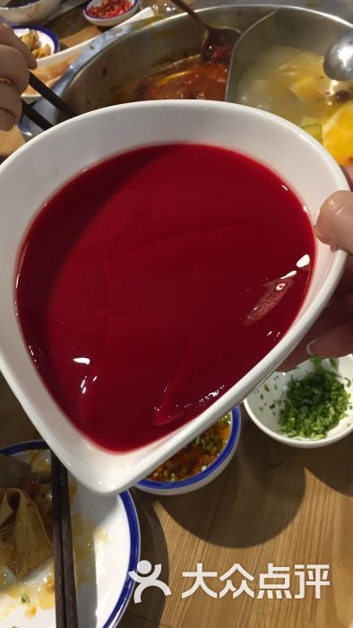 玖斤油鹅肠火锅-鲜鸭血图片-北京美食-大众点评网