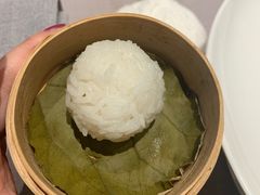 -子福慧(虹桥店)