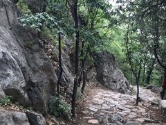 -阳台山自然风景区