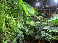 -森味薪火烧•烧鸟居酒屋•日本料理(望京店)