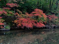 -本溪老边沟风景区
