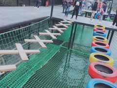 -梦幻奥陶纪景区