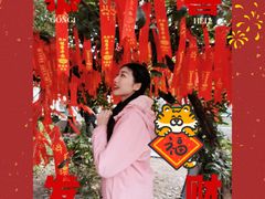 -董顺桃老长沙臭豆腐(步行街店)