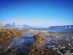 -黑石礁公园