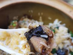 -红星光发煲仔饭(文海店)