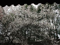 -钱王祠