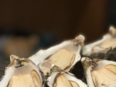 -水之惠鲜鱼料理(王府大街店)