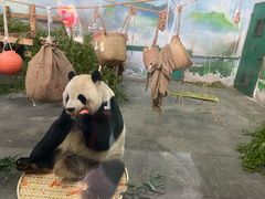 -无锡动物园·太湖欢乐园