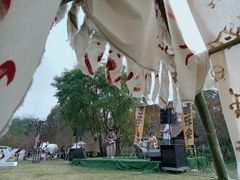 -南宁良凤江国家森林公园