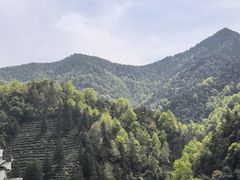 -新安江山水画廊风景区