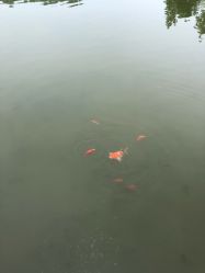 -大望京儿童游乐场