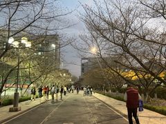 -同济大学-北苑食堂