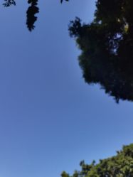 -爱帝宫月子中心(罗湖别墅院)