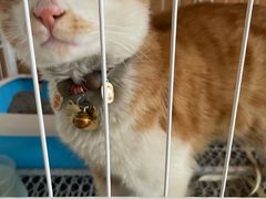 -四姑娘山阿巴郎·藏式花园餐厅