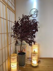 -盼兮·日式美睫沙龙