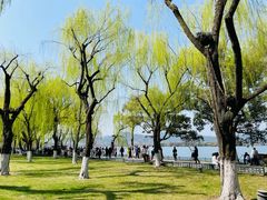 -柳浪闻莺公园
