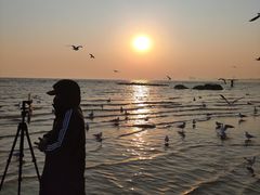 -老虎石海上公园