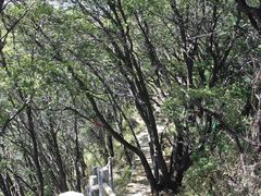 景点-少华山国家森林公园