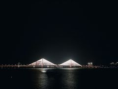 -武汉知音号