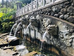 -蝴蝶泉公园