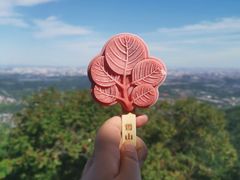 -香山公园