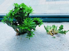 -豫丰汇河南名菜楼(武记餐饮)