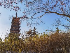 -上海方塔园