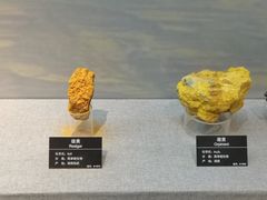 -甘肃地质博物馆