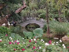 -人民公园(罗湖区)