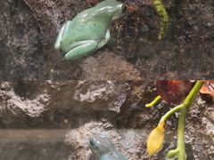 -中国湿地博物馆