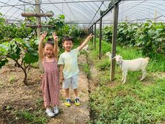 -美家乐农庄·露营·团建(大治路店)