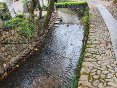 -清漾毛氏文化村