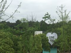 -铁山坪森林公园