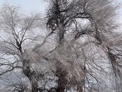 -雾凇岛