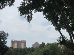 -素满香·素食自助餐(西安·民乐园店)