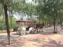 -杨柳青庄园