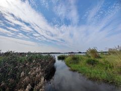 -芒洲湿地公园