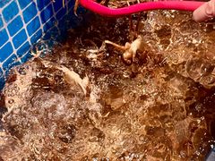 -焰江山海鲜牛排烤肉自助(锦华万达二星店)