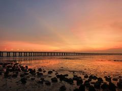 -宝安西湾红树林湿地公园