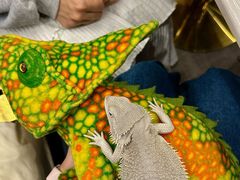 -FAIRYLAND龙族星球主题餐厅(凯丹广场店)