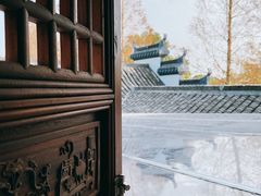 -海上花岛玫瑰园采摘