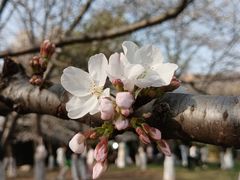 -堤角公园