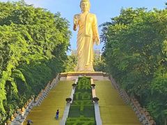 -西双版纳傣族园