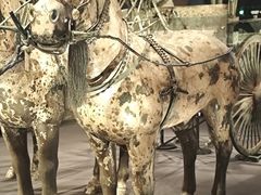 -秦始皇帝陵博物院-丽山园