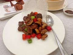 -金粤九号(李公堤店)