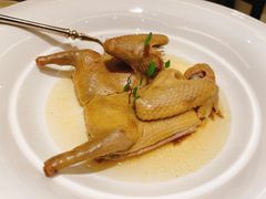 椒麻卤水乳鸽-人间采蜜(海信广场店)